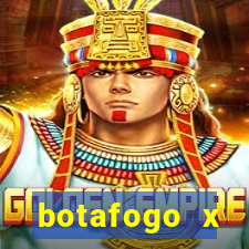 botafogo x palmeiras futemax